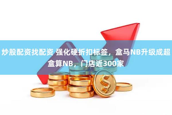 炒股配资找配资 强化硬折扣标签，盒马NB升级成超盒算NB，门店近300家