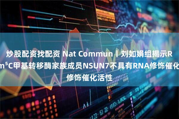 炒股配资找配资 Nat Commun丨刘如娟组揭示RNA m⁵C甲基转移酶家族成员NSUN7不具有RNA修饰催化活性