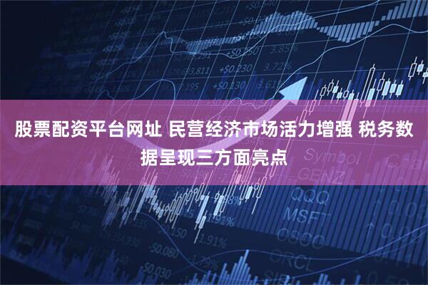 股票配资平台网址 民营经济市场活力增强 税务数据呈现三方面亮点