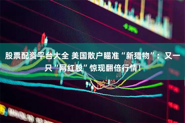股票配资平台大全 美国散户瞄准“新猎物”：又一只“网红股”惊现翻倍行情！